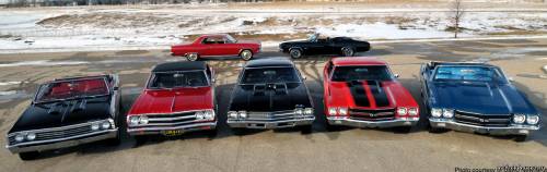 Mecum Chevelle Collection