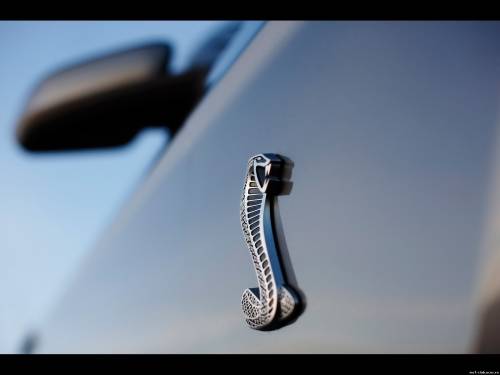 2010 Ford Shelby GT500