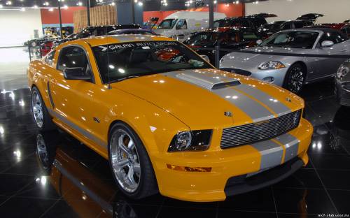 The Galpin Collection
