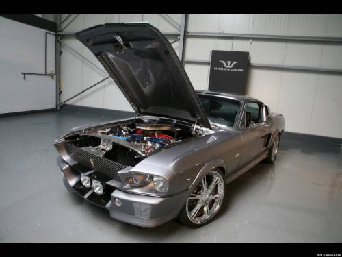 2009 Wheelsandmore Mustang Shelby GT500 Eleanor