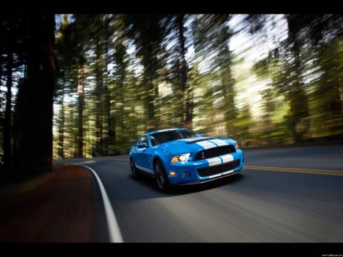 2010 Ford Shelby GT500