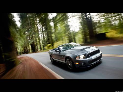 2010 Ford Shelby GT500