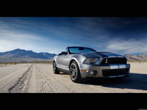 2010 Ford Shelby GT500