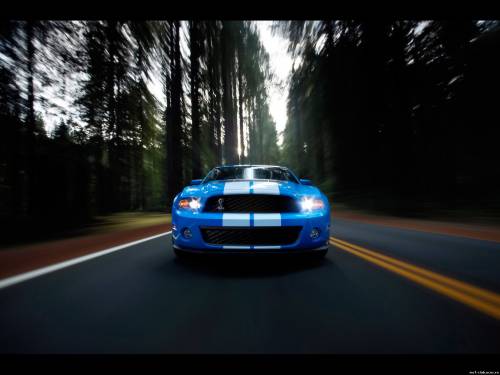 2010 Ford Shelby GT500