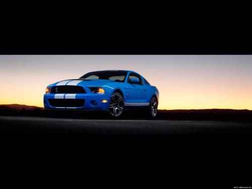 2010 Ford Shelby GT500