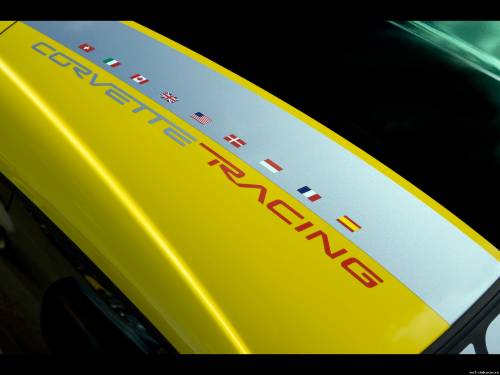 2009 Chevrolet Corvette GT1 Championship Edition