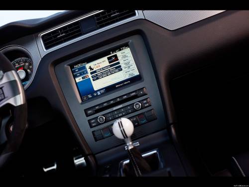 2010 Ford Shelby GT500