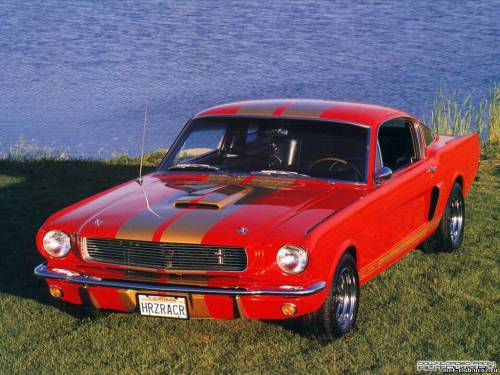 autowp.ru_mustang_shelby_gt350h_7