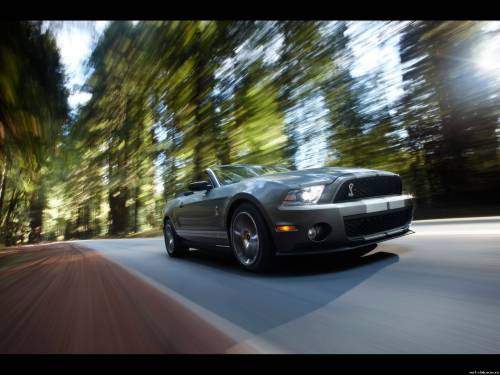 2010 Ford Shelby GT500