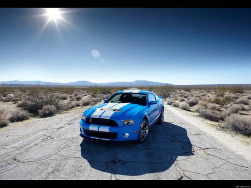 2010 Ford Shelby GT500