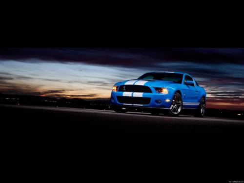 2010 Ford Shelby GT500